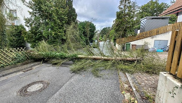 IMG_20230804_170223_160 groß.jpg